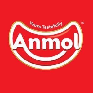 anmol industries ipo