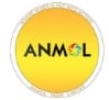 Anmol India Limited IPO