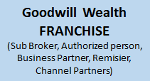 Goodwill Wealth Franchise