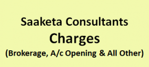 Saaketa Consultants Charges