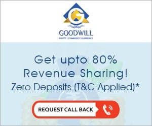 Goodwill Wealth Franchise offer