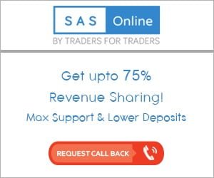 SAS Online offers