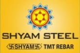 Shyam Steel Industries Limited IPO