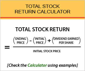 Total Stock Return Calculator