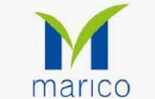Marico Share Price