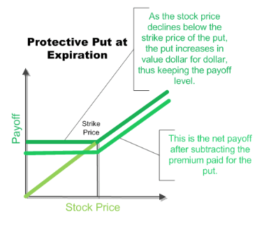 Protective Puts - Options Trading Strategy