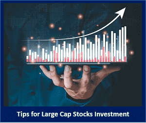 Tips for Large Cap Stocks Investment