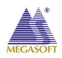 Megasoft Rights Issue